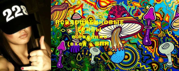прущие грибы Белоозёрский