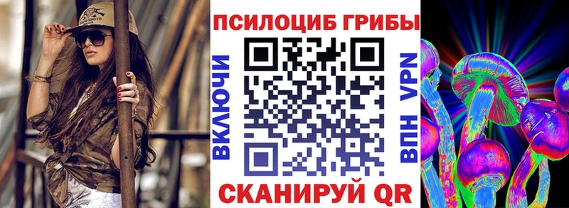 Галлюциногенные грибы Psilocybe  Шиханы 